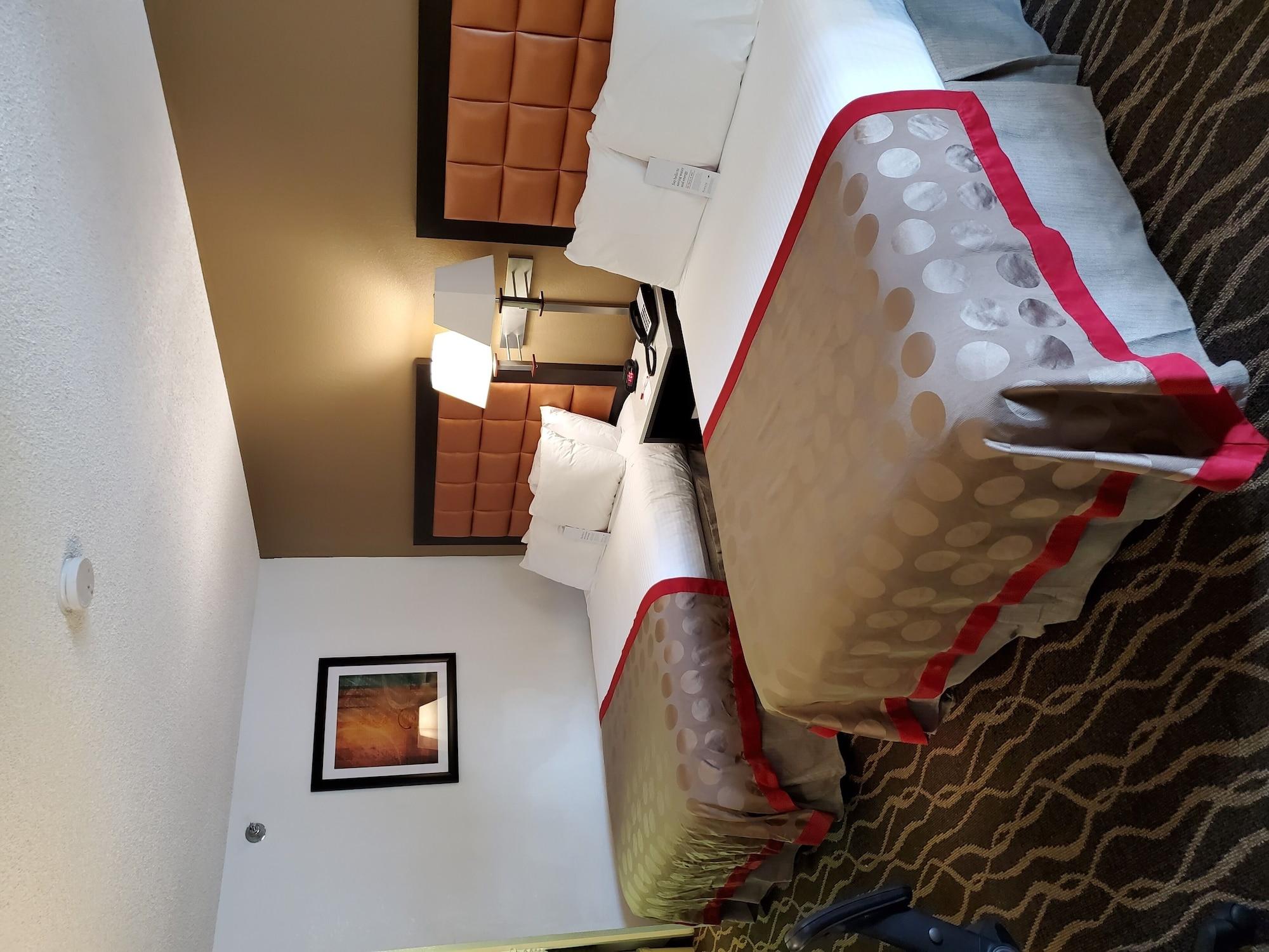 Ramada By Wyndham Temple Terrace/Tampa North Hotell Eksteriør bilde
